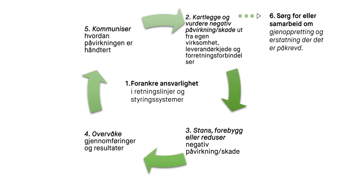 Åpenhetsloven, Aktsomhetsvurderinger