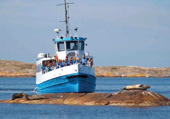 Hummerfiske Koster, firmatur, firmareise