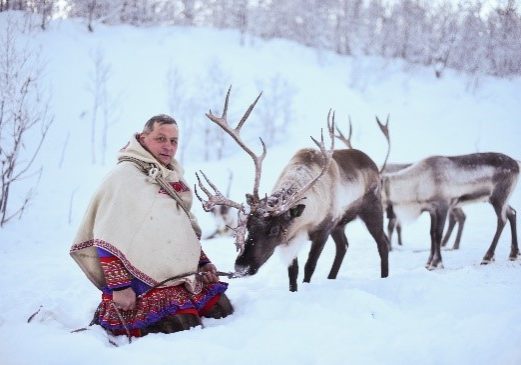 Firmatur, samisk, reinsdyr